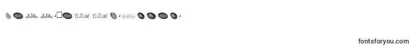 Fonte McsBasmalahItalic. – Fontes comemorativas